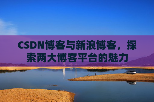 CSDN博客与新浪博客，探索两大博客平台的魅力